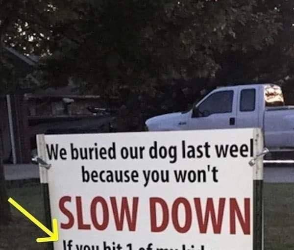 After dog is hit and killed by car, family’s brutal sign has the whole neighborhood talking