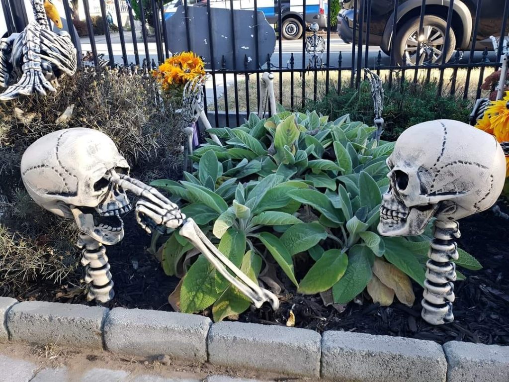 NEIGHBOR’S HILARIOUS RESPONSE TO HALLOWEEN DECORATION CRITICISM WENT VIRAL!