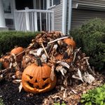 My Neighbors Threw Their Rotten Halloween Decorations in My Yard So I Would Take Them Away – But I Taught Them a Lesson