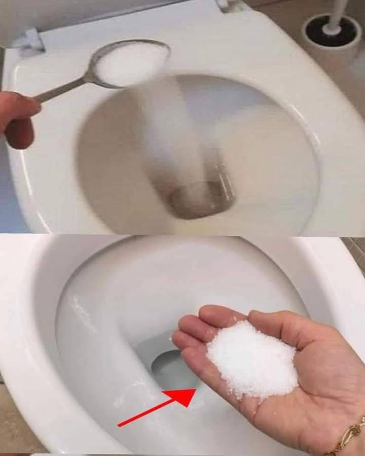 Put salt in your toilet. Here’s why. This is something plumbers will never tell you. Full article