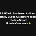 Southwest Airlines Flight Struck by Bullet Just Before Takeoff at Dallas Airport