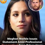 Meghan Markle issues statement amid professional…