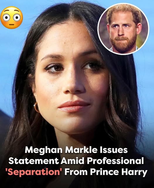 Meghan Markle issues statement amid professional…