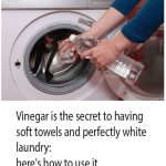 Vinegar Is the Secret to Soft Towels, Whiter Whites, and Other Laundry Solutions