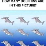 How Many Dolphins Are in the Picture?