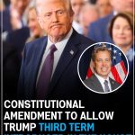 Constitutional Amendment To Allow Trump Third Term Introduced In The House