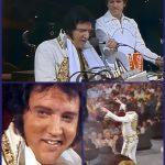 Elvis Presley Performed “Unchained Melody” During Final Recorded Concert