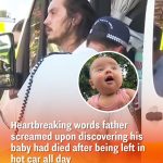 Heartbreaking words father screamed upon discovering his baby had died after being left in hot car all day