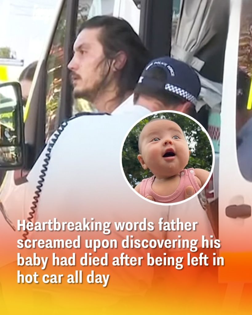 Heartbreaking words father screamed upon discovering his baby had died after being left in hot car all day