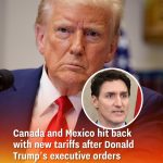 Canada and Mexico hit back with new tariffs after Donald Trump’s executive orders escalate trade war