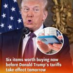 Six items worth buying now before Donald Trump’s tariffs take effect tomorrow