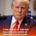 Trump intends to ‘take over’ Gaza strip and resettle all Palestinians as he reveals how he may do it