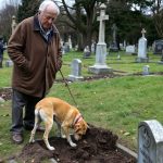 While tending to his son’s grave, an elderly man noticed his dog frantically digging at the soil. What the animal uncovered sent shockwaves through the entire village