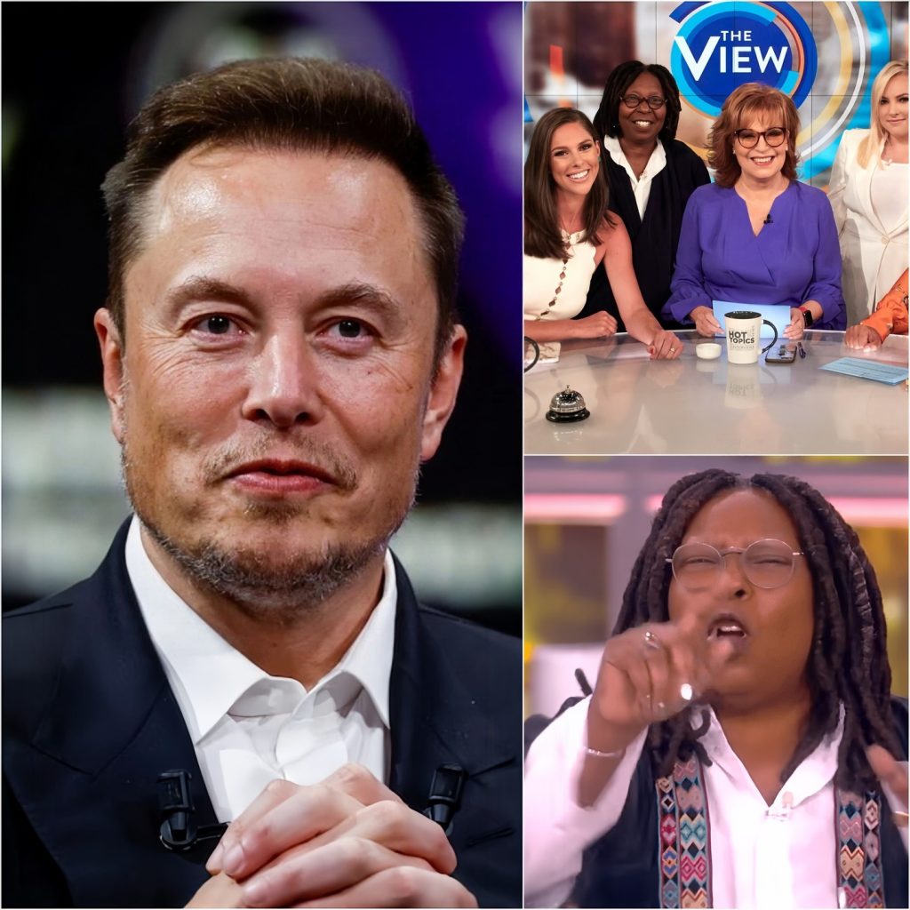 Elon Musk called for a boycott of The View, calling it “a meeting place for ignorant women.” Immediately after, the entire cast responded fiercely.D