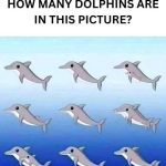 How many dolphins can you spot in the picture?