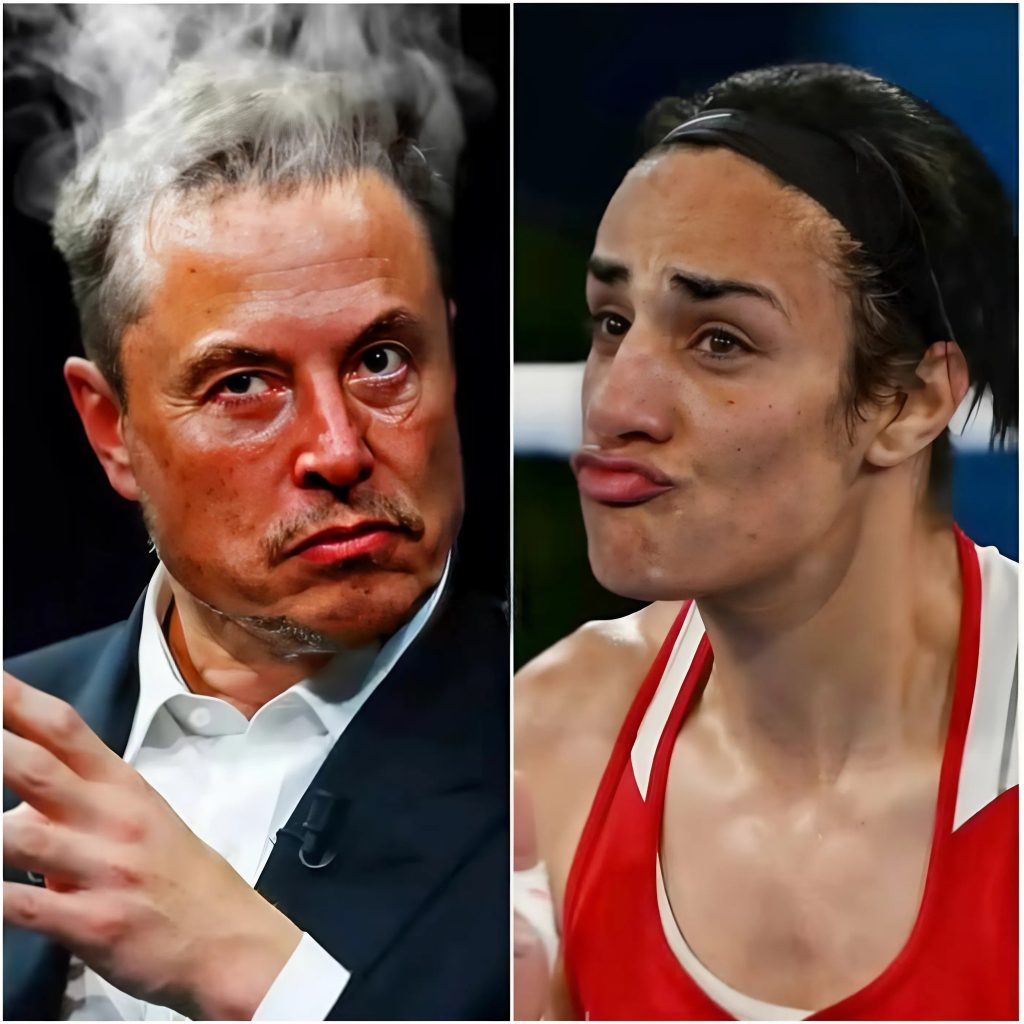 BREAKING: Elon Musk decides to withdraw support from WBO programs unless Imane Khelif’s medal and $25 million bonus are revoked.